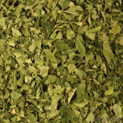 Vente de moringa en ligne