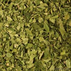 Vente de moringa en ligne
