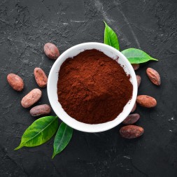 Cacao Bio Nature Choc Shark