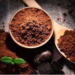 Cacao Bio Menthe Minty Monkey