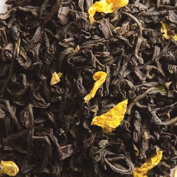 the exotique_the noir mangue_the noir ceylan