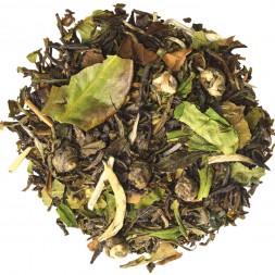 Thé vert au jasmin_thé jasmin_le jasmin