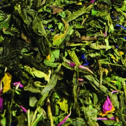 Thé vert menthe moringa