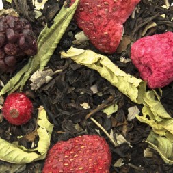 Thé Noir Fruits des bois Verveine Bio - 15 Sachets pyramides