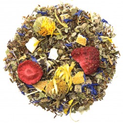 Rooibos Fraise Raisin Bio - 15 Sachets pyramides