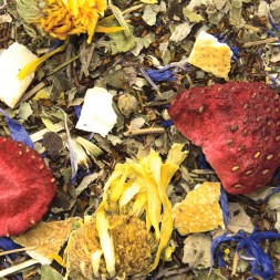 Rooibos Fraise Raisin Bio