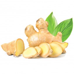 Infusion Racine Gingembre Morceaux