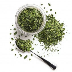 Tisane moringa nature arbre de vie