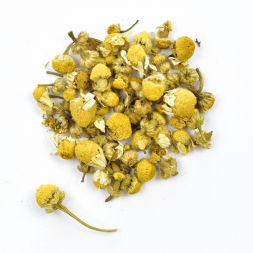Tisane fleurs de camomille nature