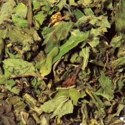 Thé vert Menthe Poivrée Bio Marrakesh