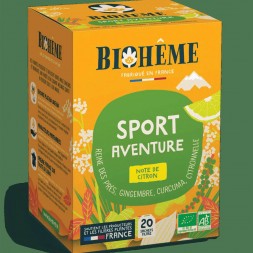 Tisane Gingembre Curcuma