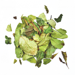 Thé blanc nature Pai Mu Tan Chine