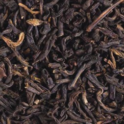 propriétés thé noir